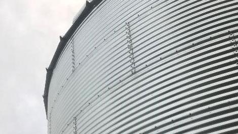 Sow and Grow with Sara: Unsolicited seed and good grain storage practices
